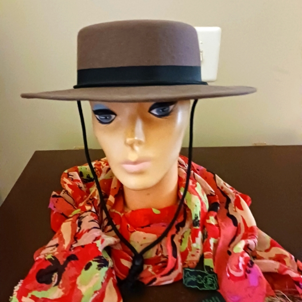 Stylish Brown Hat with Black Band